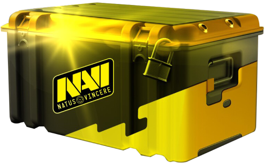Case preview